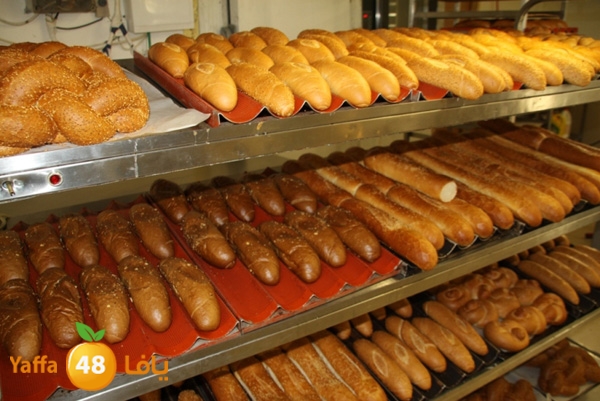 k7eelkhobzn455 (2).JPG